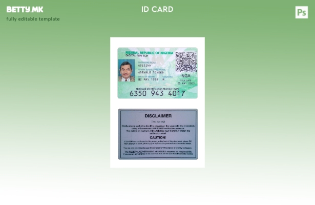 Модерен стил, шаблон за присутна дигитална лична карта на Нигерија